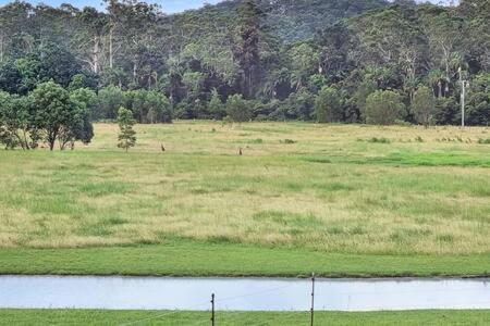 The Sanctuary - Family Retreat - Noosa Hinterland Villa North Arm Bagian luar foto