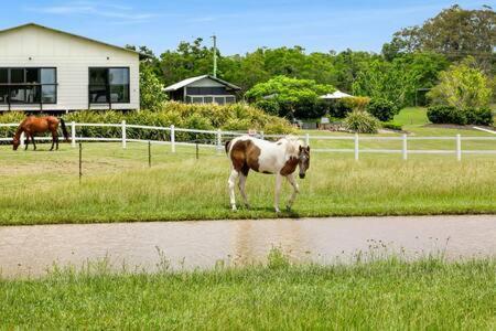 The Sanctuary - Family Retreat - Noosa Hinterland Villa North Arm Bagian luar foto