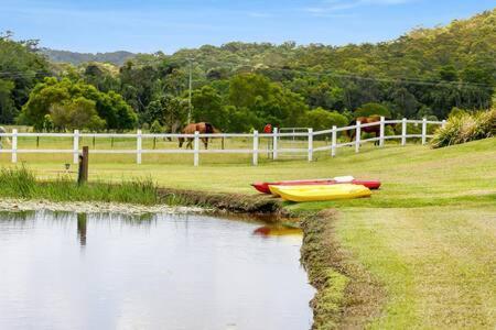 The Sanctuary - Family Retreat - Noosa Hinterland Villa North Arm Bagian luar foto